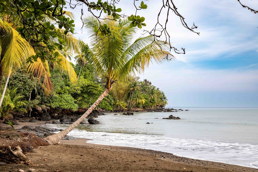 Photo Tropical paradise