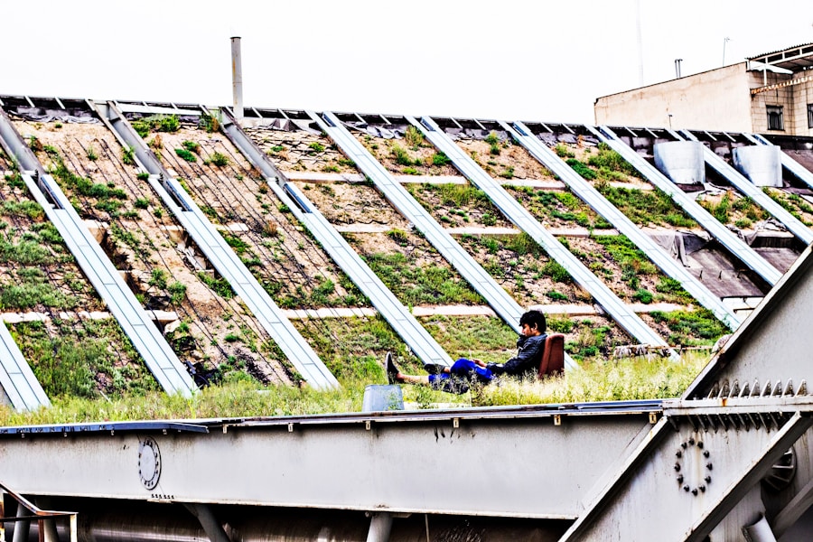 Photo "How can we learn to live in a more sustainable way?"