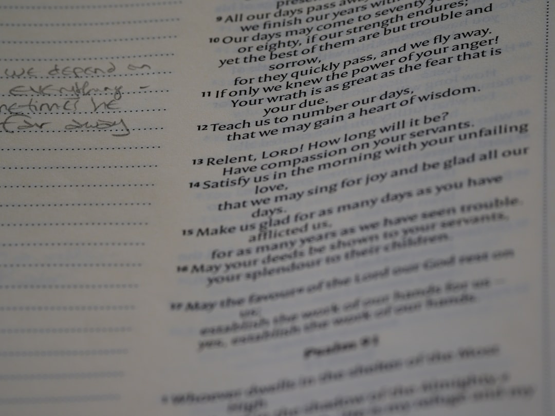 Photo structuring an essay