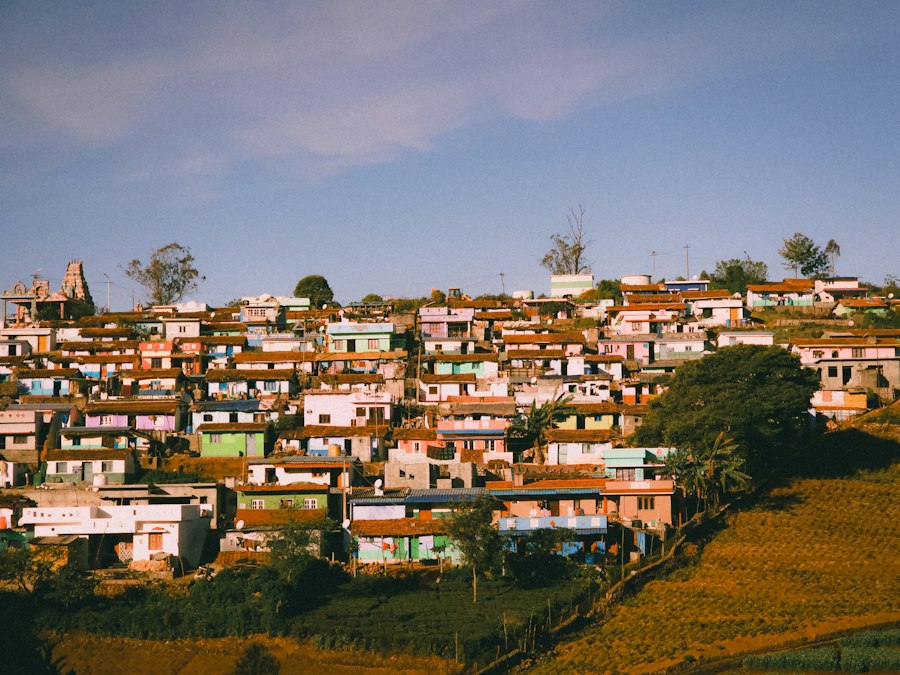economy urban rural