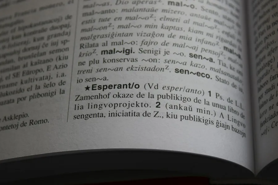 Romanian language grammar basics