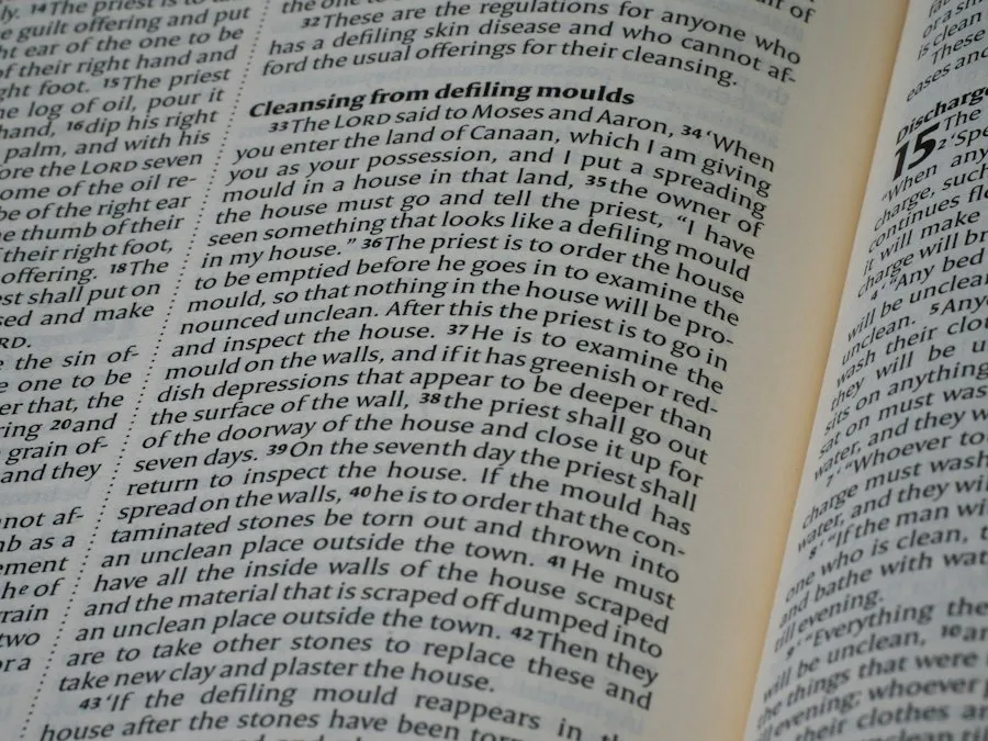 common text structure mistakes